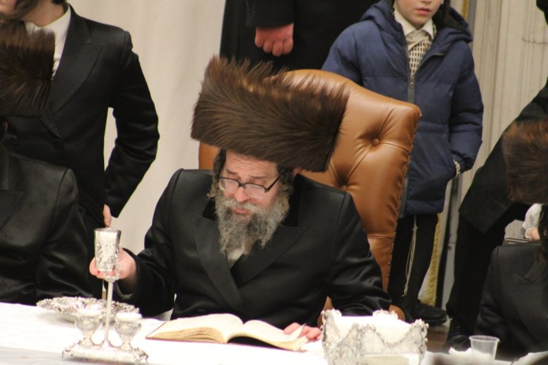 דוד מילר