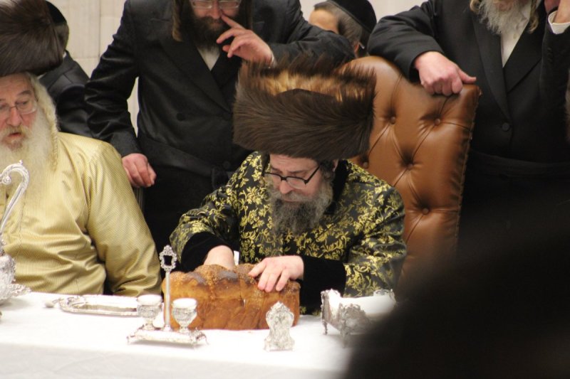 דוד מילר