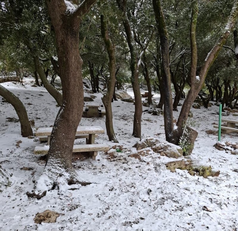 שי מסיקה, רט"ג