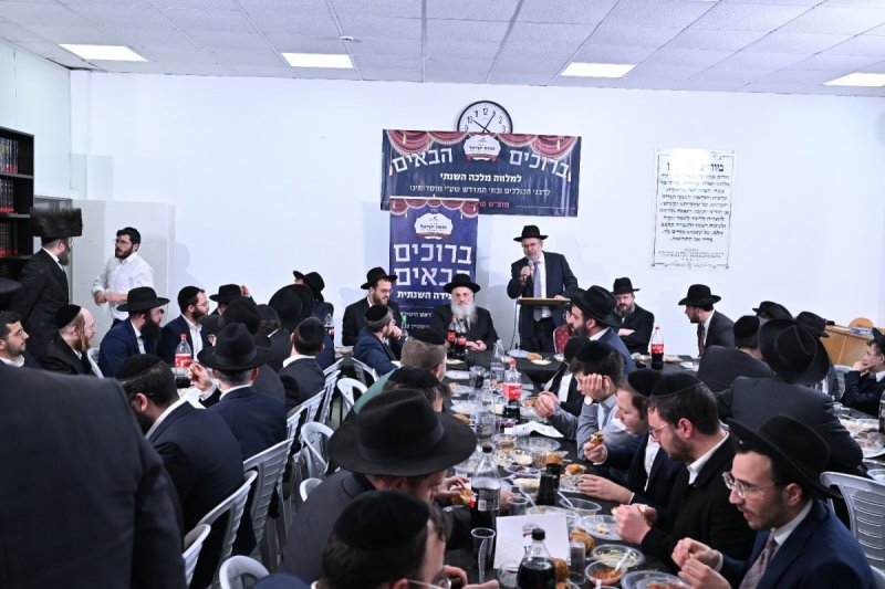 ליפא מוזר