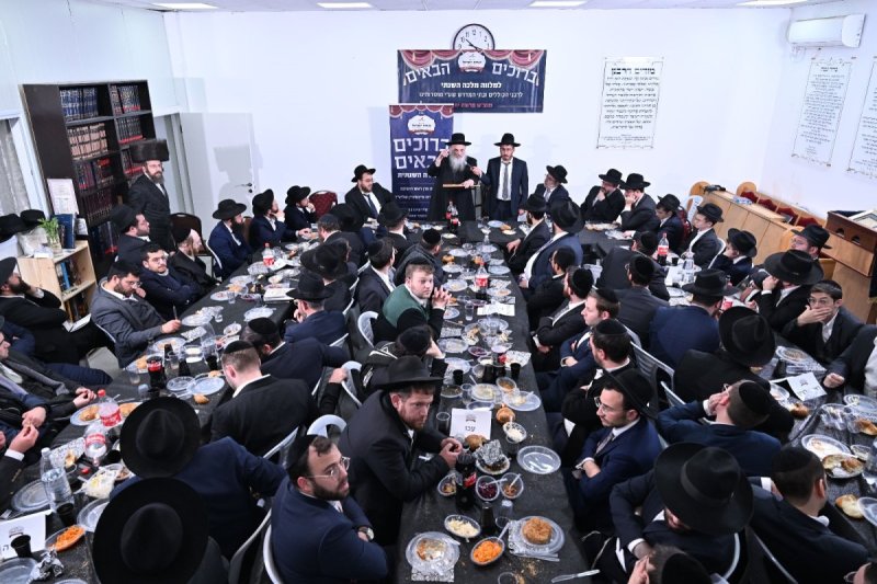 ליפא מוזר