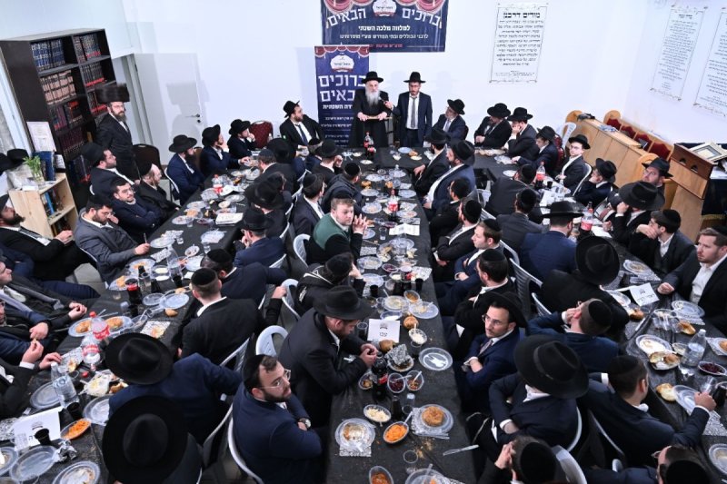 ליפא מוזר