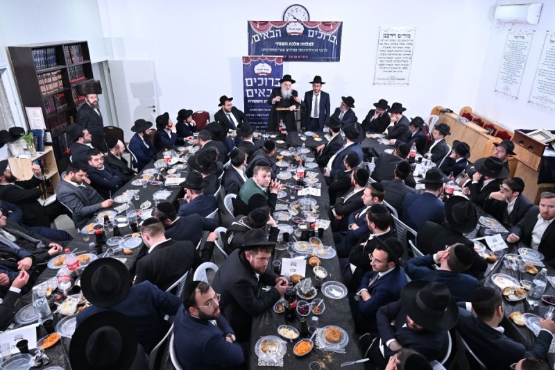 ליפא מוזר