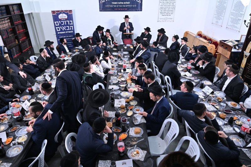 ליפא מוזר
