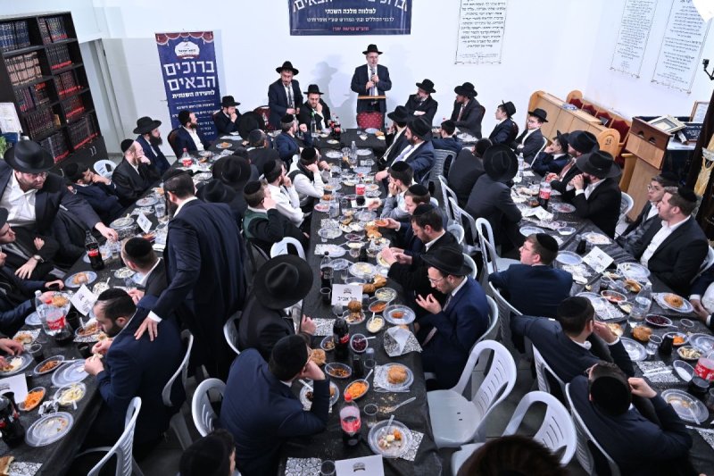 ליפא מוזר