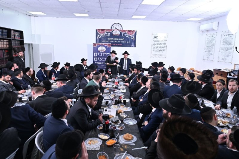 ליפא מוזר