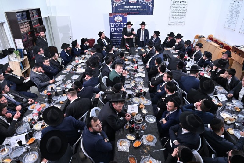 ליפא מוזר