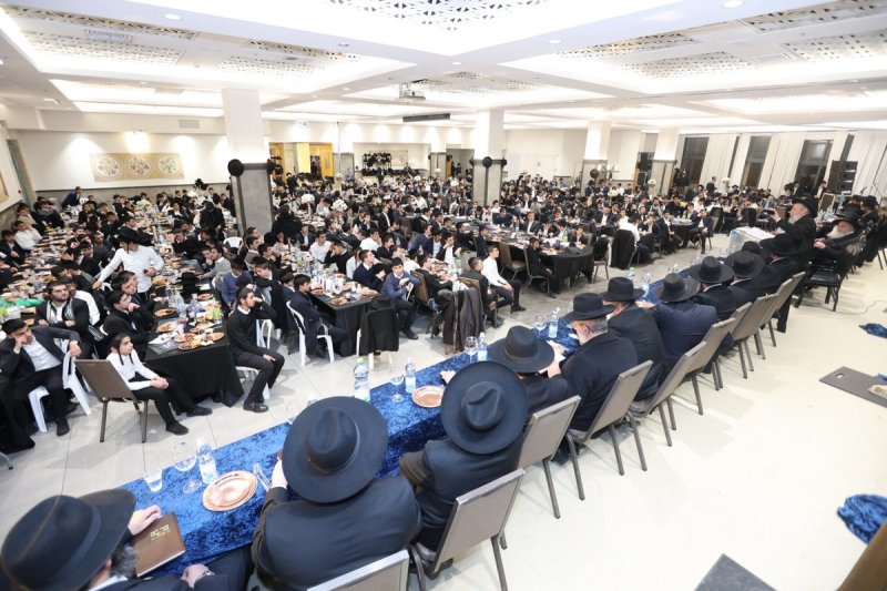 יעקב כהן