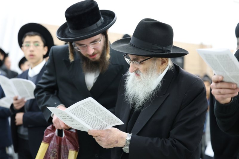 דוד ארזני