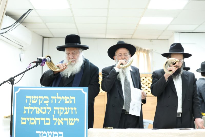 דוד ארזני