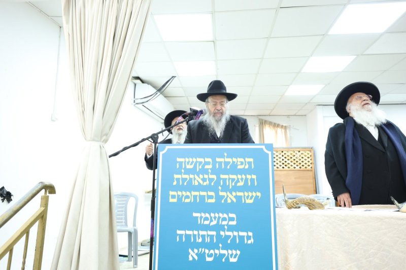 דוד ארזני
