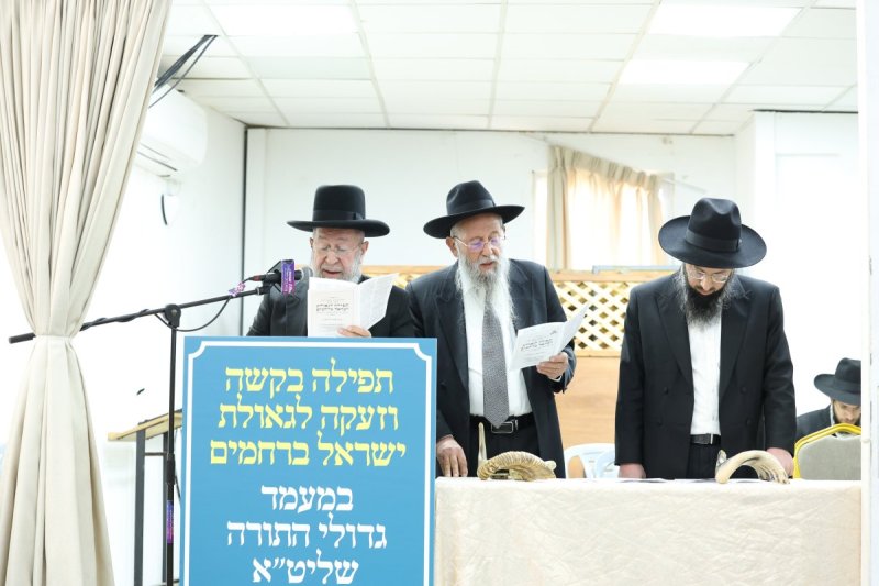דוד ארזני
