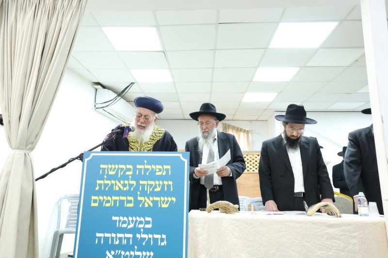 דוד ארזני