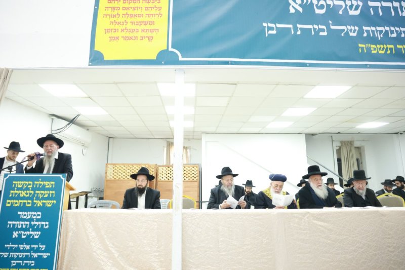 דוד ארזני