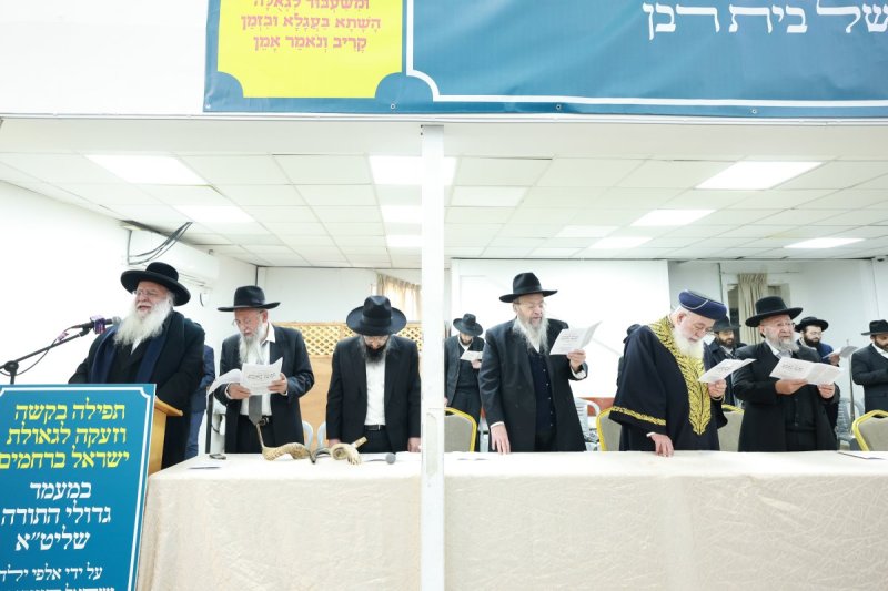 דוד ארזני