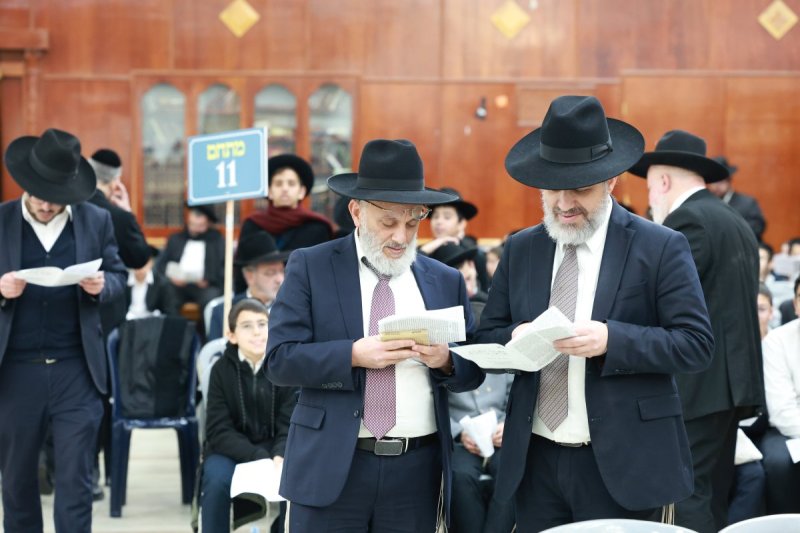 דוד ארזני