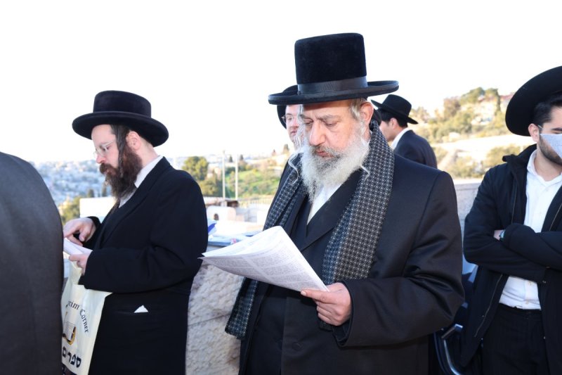 דוד ארזני