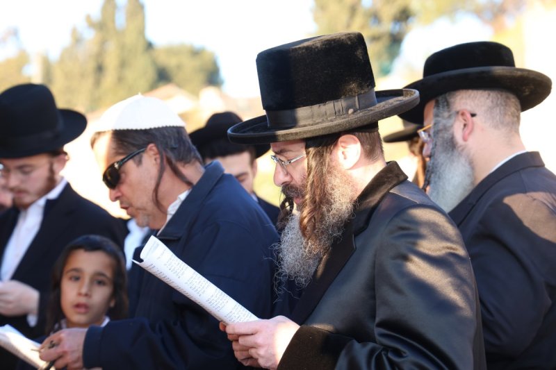 דוד ארזני