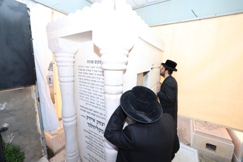 דוד ארזני