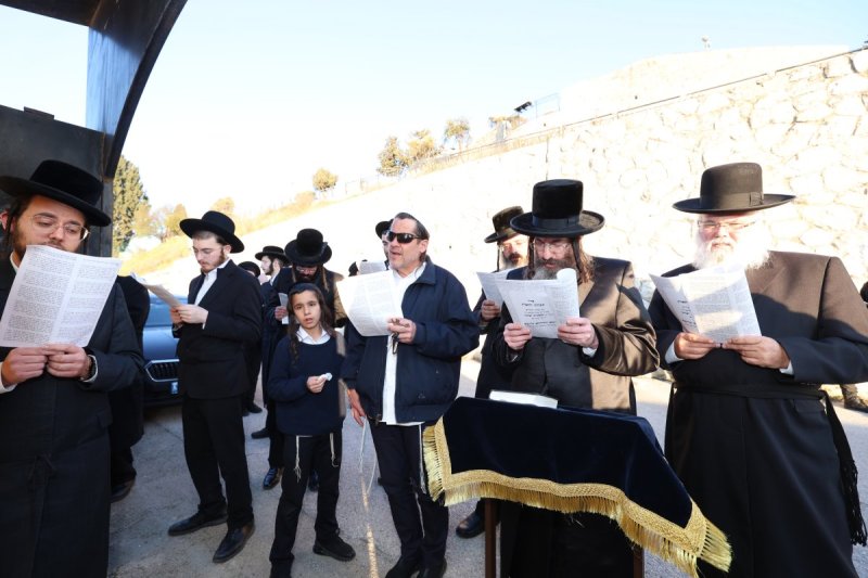 דוד ארזני