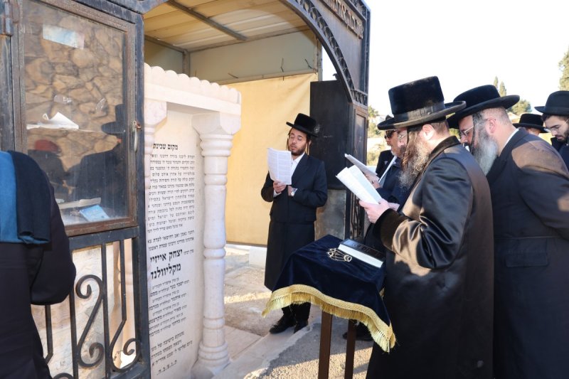 דוד ארזני