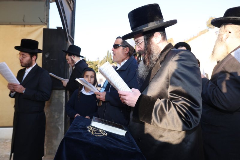 דוד ארזני