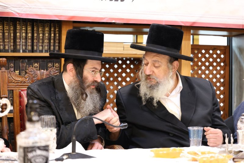 דוד ארזני