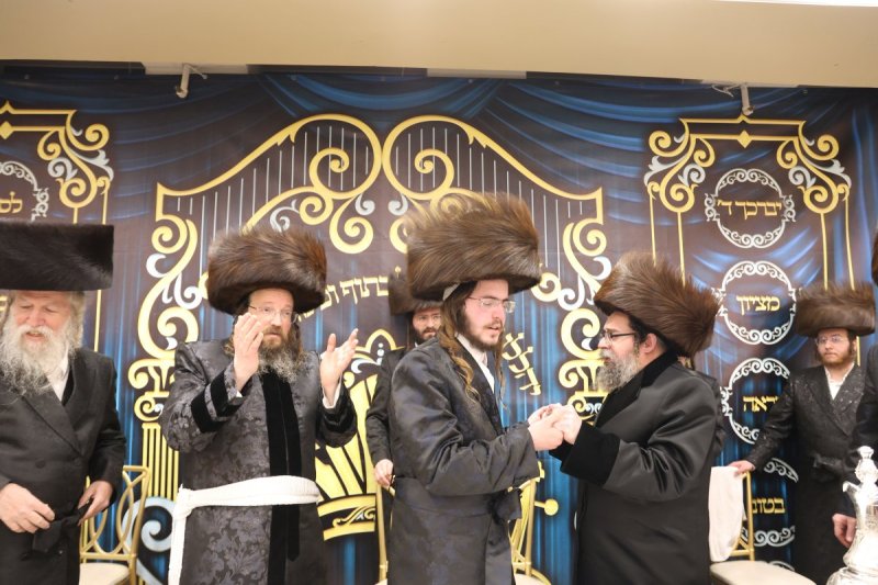 דוד ארזני