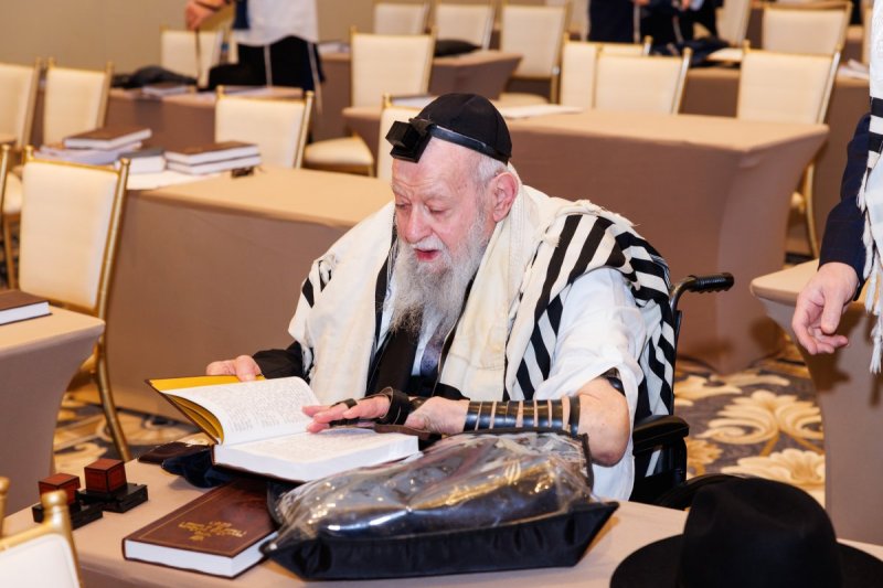 משה גרשבאום/שלומי כהן