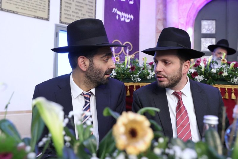 יעקב כהן