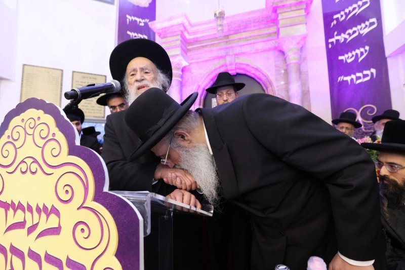 יעקב כהן
