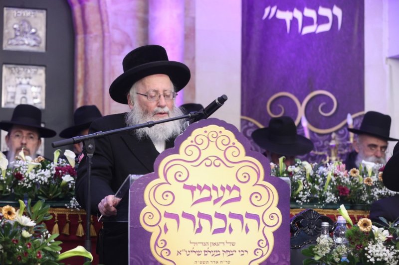 יעקב כהן