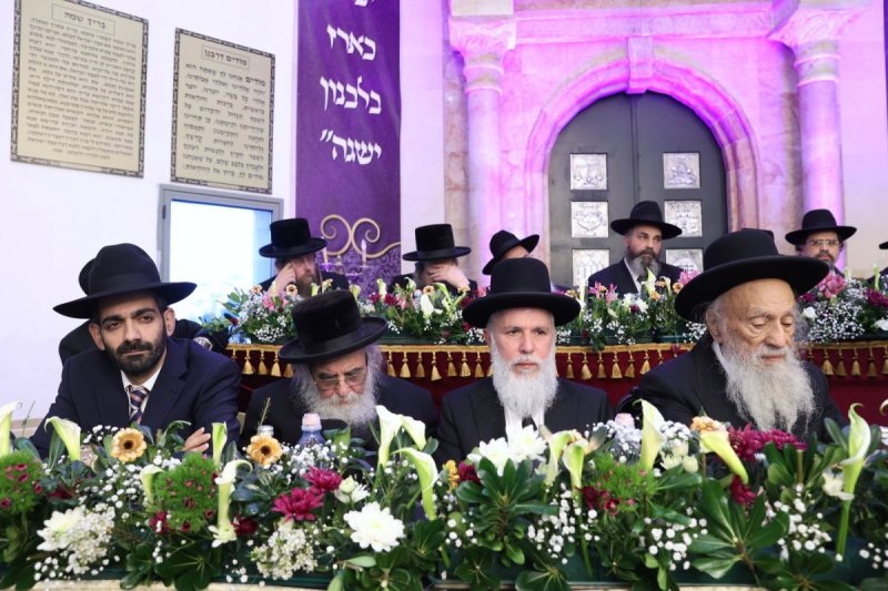 יעקב כהן