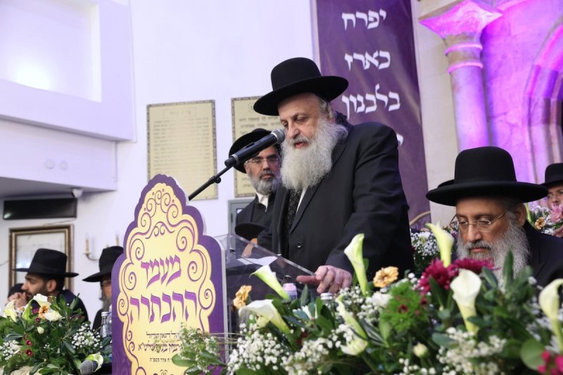 יעקב כהן
