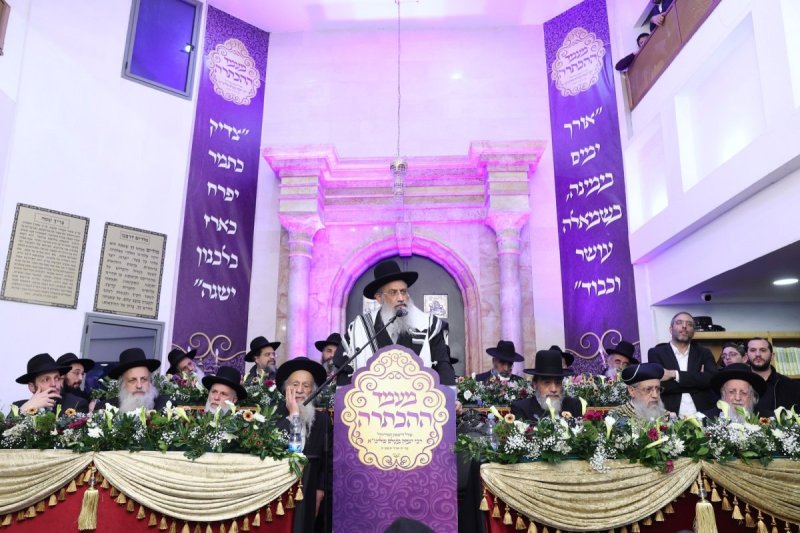 יעקב כהן