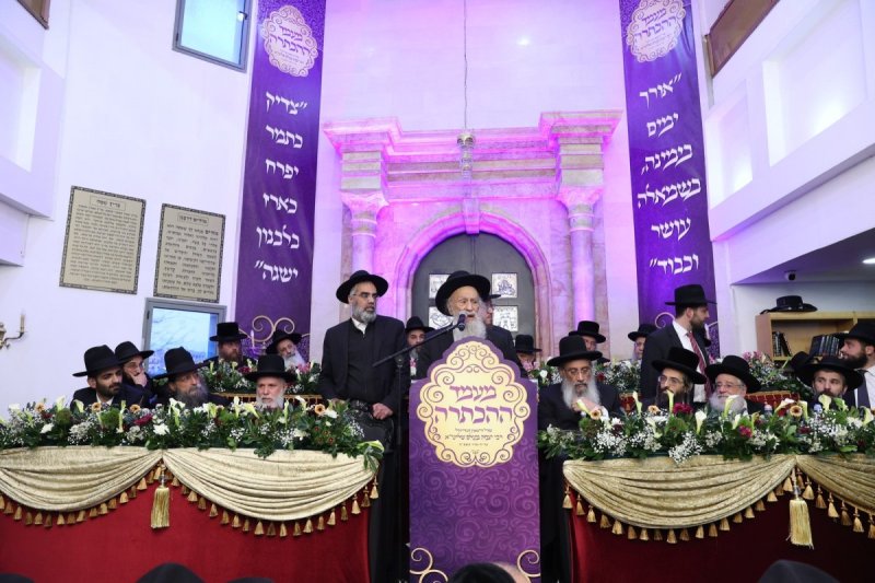 יעקב כהן