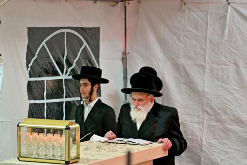יהושע פרוכטר
