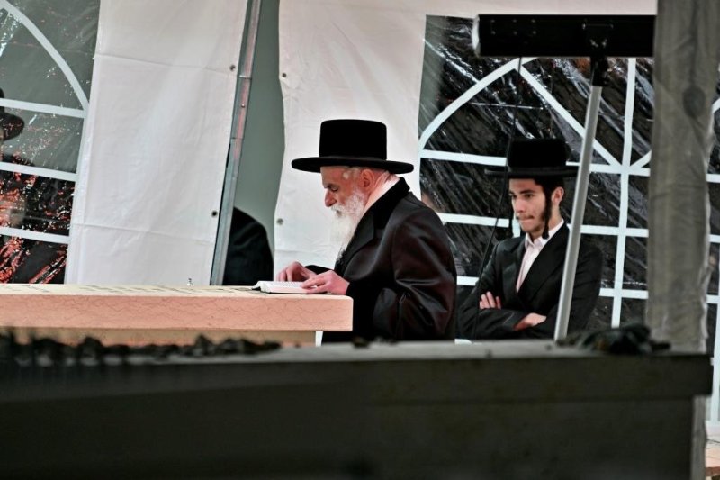 יהושע פרוכטר