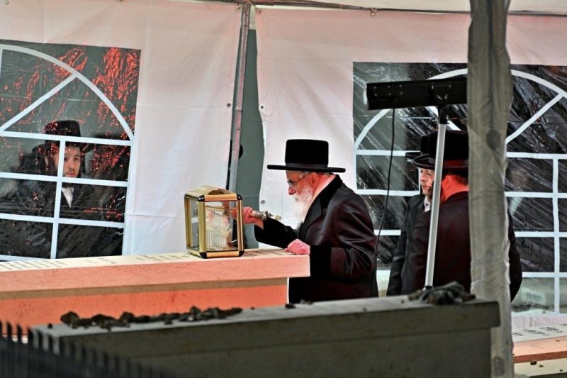 יהושע פרוכטר