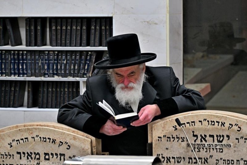 יהושע פרוכטר