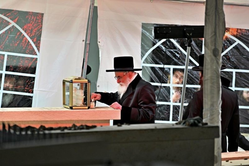 יהושע פרוכטר