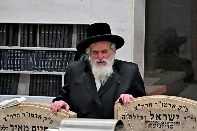 יהושע פרוכטר