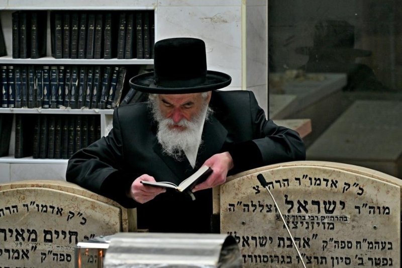 יהושע פרוכטר