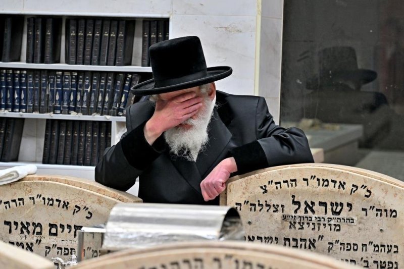 יהושע פרוכטר