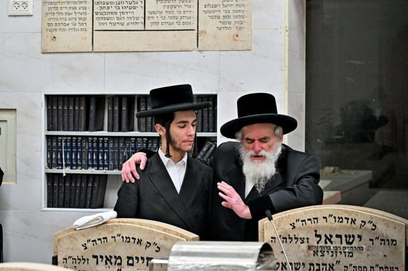 יהושע פרוכטר