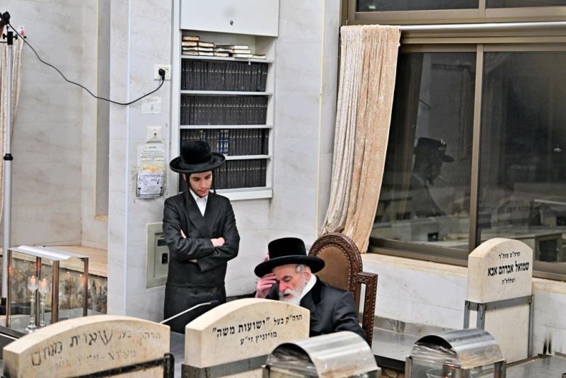 יהושע פרוכטר
