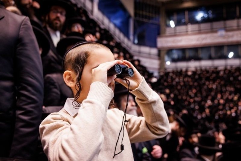 האחים לאנטשעווסקי, יוסי גולדברגר, אברומי בלום