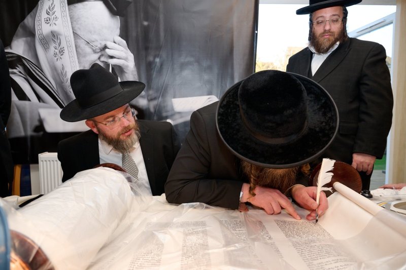 דודי בראון