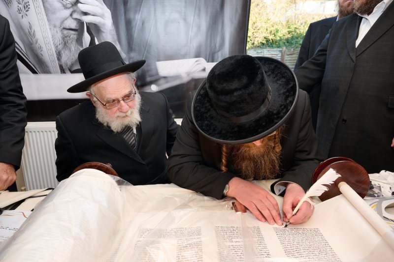 דודי בראון