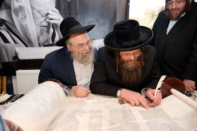 דודי בראון